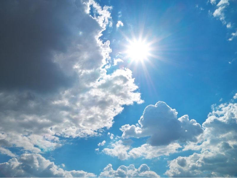 Illustratie bij nieuwbericht Zomer in Zevenaar!